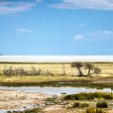 NAM OSHI Etosha 2016NOV27 072 : 2016, 2016 - African Adventures, Africa, Date, Etosha National Park, Month, Namibia, November, Oshikoto, Places, Southern, Trips, Year